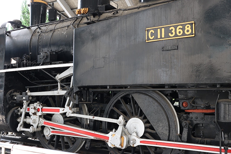 Canon RF24-50mm F4.5-6.3 IS STM 作例：24mmの描写