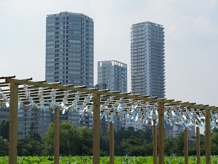 LUMIX GH7 作例：風鈴