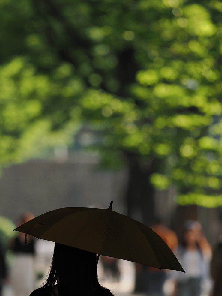M.ZUIKO DIGITAL ED 300mm F4.0 IS PRO 作例：日傘をさす女性