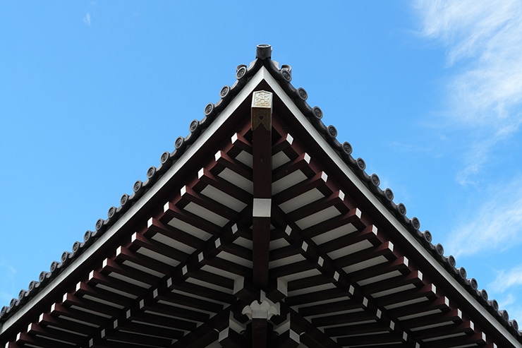 SONY FE PZ 16-35mm F4 G 作例：屋根