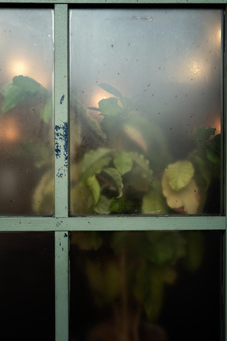 Leica Q3 43 作例：ドアの磨りガラスと観葉植物
