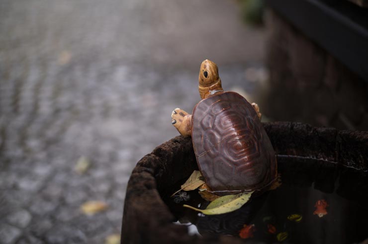 Leica M11-D 作例：玩具のカメ