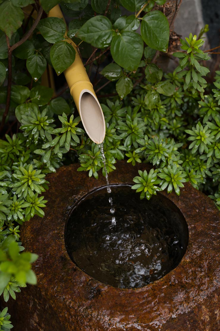 Leica M11-D 作例：ししおどし