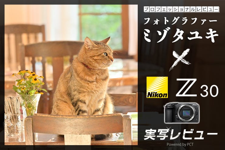 Nikon Z 30 レビュー × ミゾタユキ | 一台二役のコンパクトミラーレス機で晩夏のスナップ旅イメージ