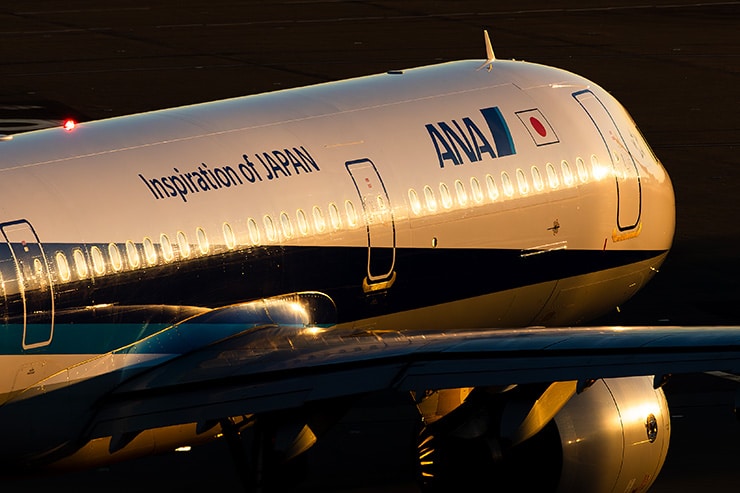 Canon RF70-200mm F2.8 L IS USM Z の作例画像：飛行機