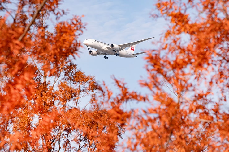 Canon RF70-200mm F2.8 L IS USM Z の作例画像：紅葉と飛行機