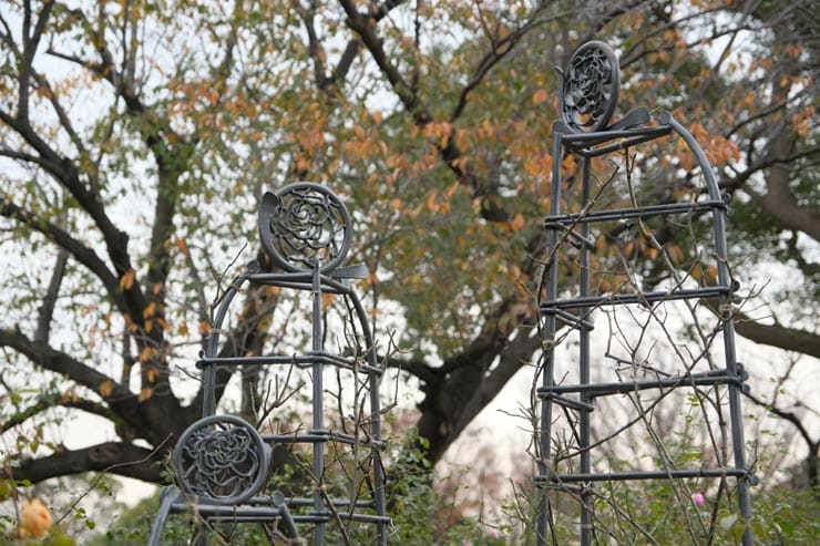 富士フイルム フジノンレンズ XF16-55mm F2.8 R LM WR 作例：公園