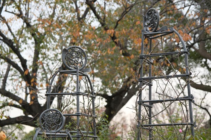 富士フイルム フジノンレンズ XF16-55mm F2.8 R LM WR II 作例：公園