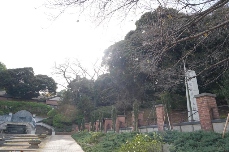 富士フイルム フジノンレンズ XF16-55mm F2.8 R LM WR 作例：逆光のガーデン