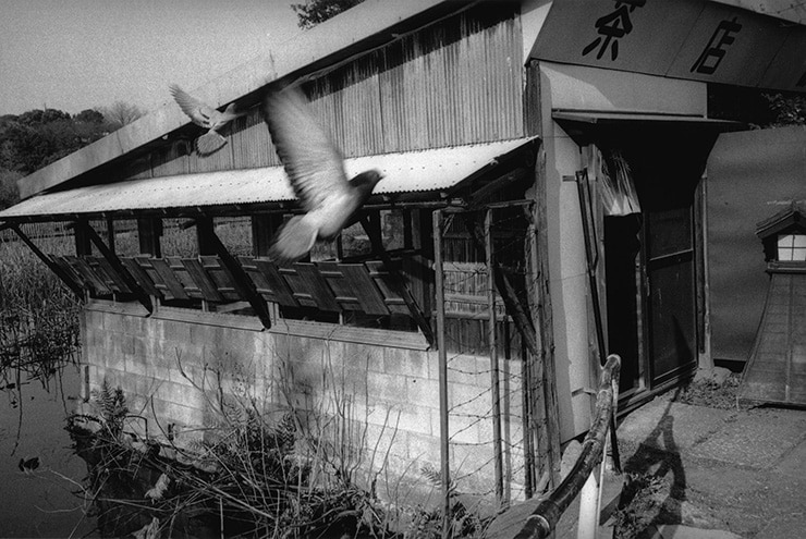 Leica MP作例：上野
