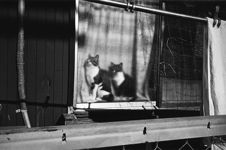 Leica MP作例：松戸