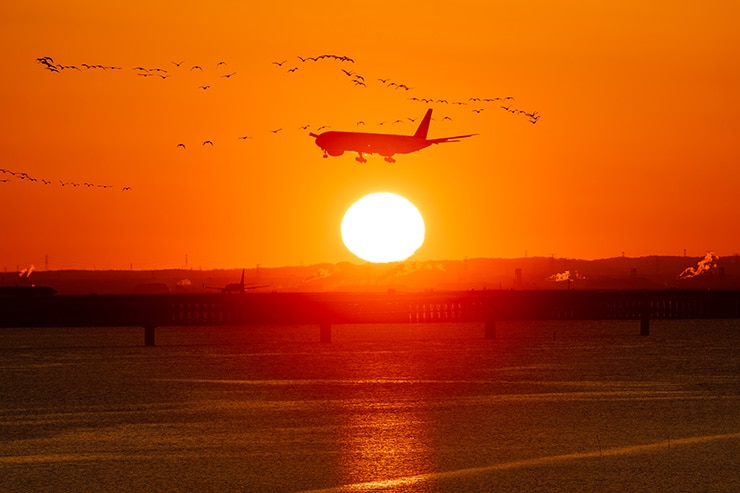 Canon EOS R1 作例：日の出の飛行機