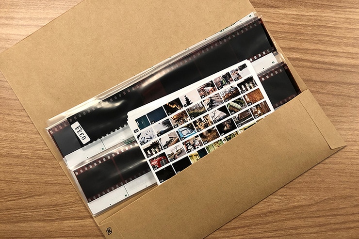 現像したフィルムの画像