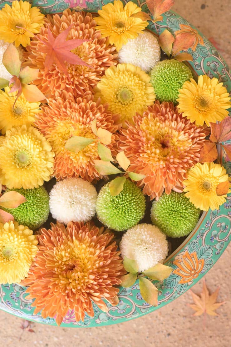 Nikon Z50 II 作例：花手水