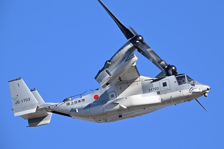 Nikon NIKKOR Z 800mm f/6.3 VR S 作例：オスプレイ