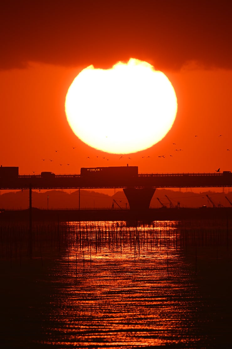 Nikon NIKKOR Z 800mm f/6.3 VR S 作例：夕日