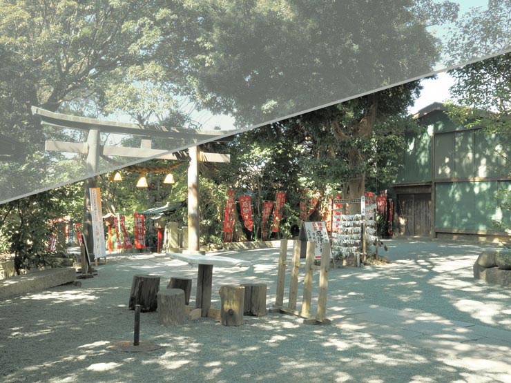 OM SYSTEM OM-3作例：八雲神社 社叢 ライブGND4 Hard を適用した箇所