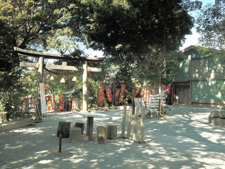 OM SYSTEM OM-3作例：八雲神社 社叢