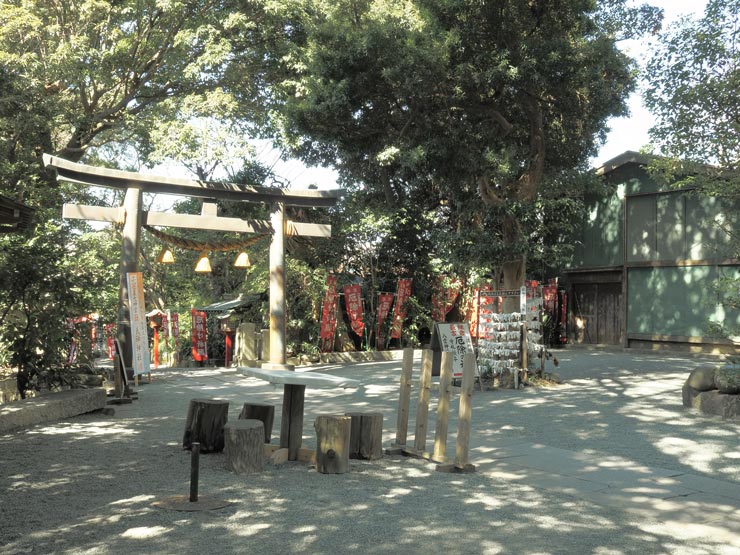 OM SYSTEM OM-3作例：八雲神社 社叢 ライブGND 使用前