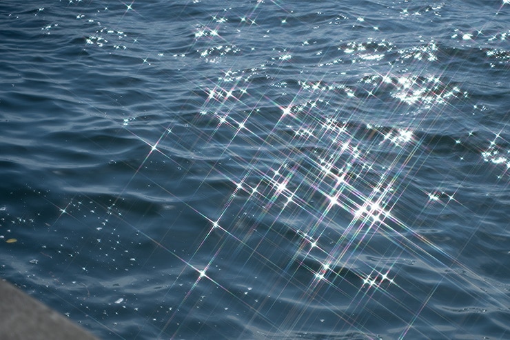 Kenko PRO1D R-クロススクリーン(W) Nを使用した作例