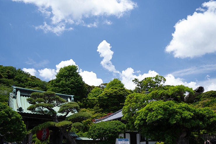 PLフィルター使用の作例（風景）