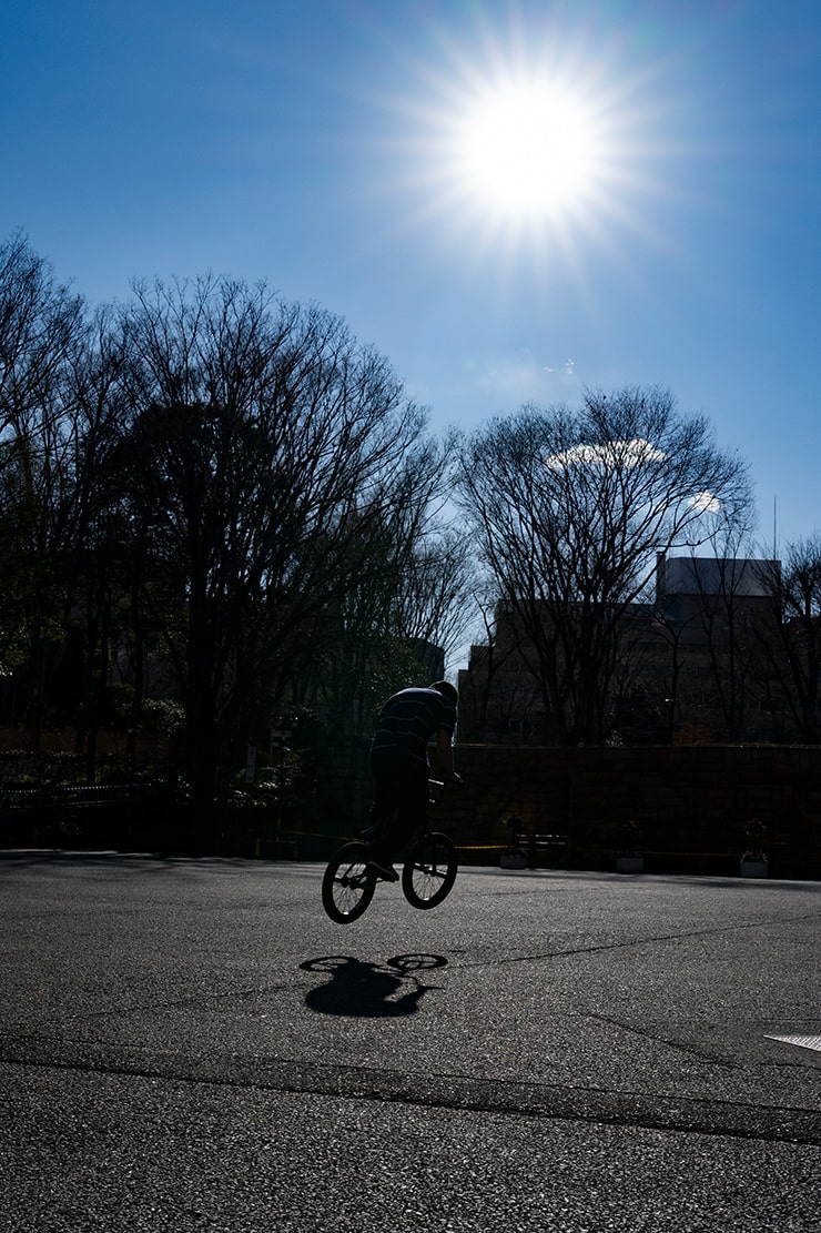 Nikon NIKKOR Z 35mm F1.2 S 作例：逆光で撮影した作例