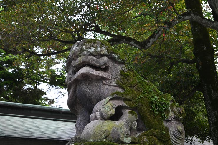 Nikon Z5II 作例：神社の狛犬 
