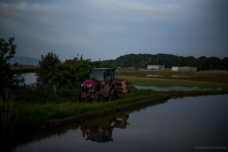 Voigtlander NOKTON 50mm F1.2 Aspherical II VM  作例：水田