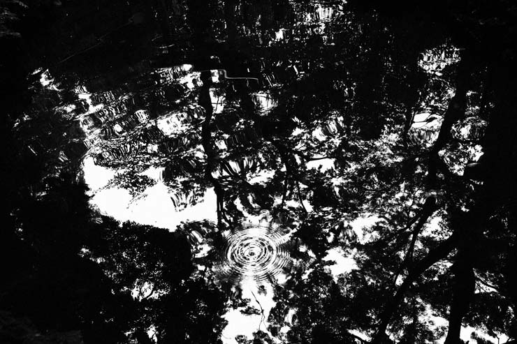 Canon PowerShot V1 作例：水面に映る樹々