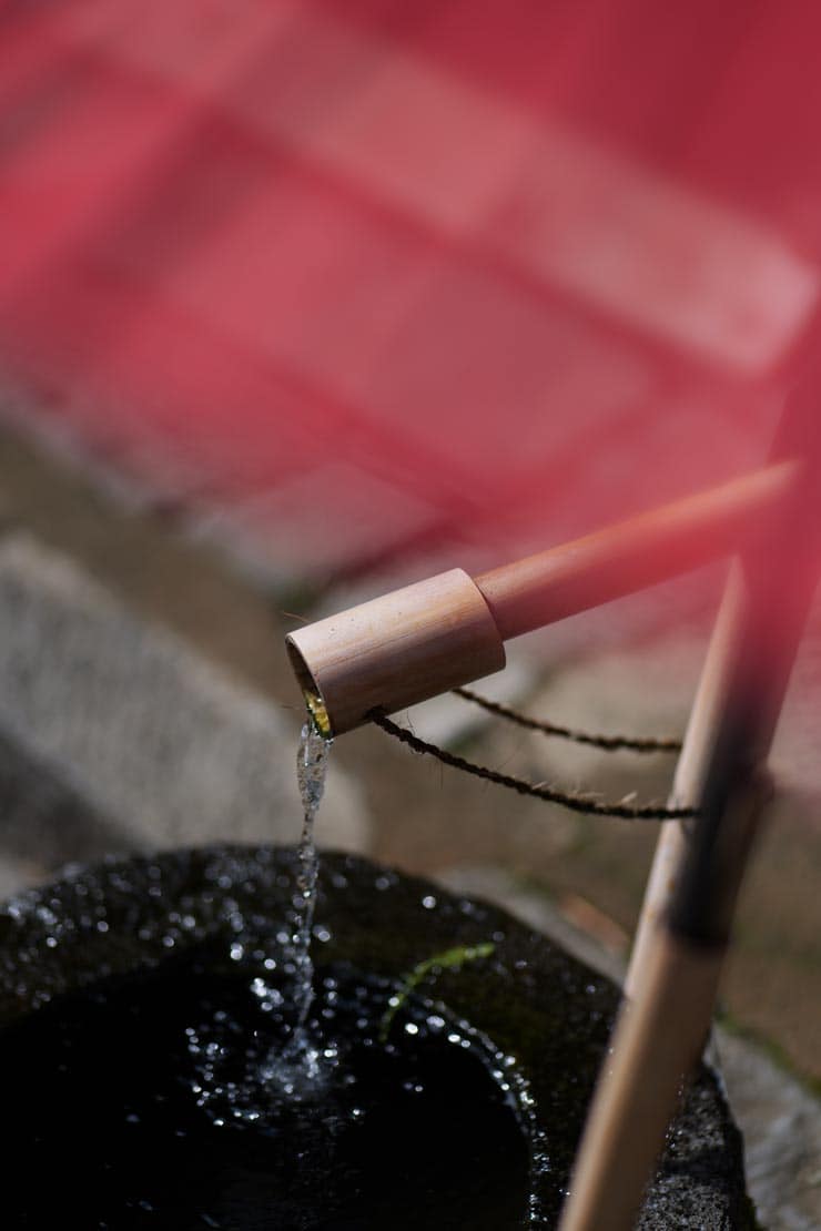 Panasonic LUMIX S1IIE 作例：ししどおとし