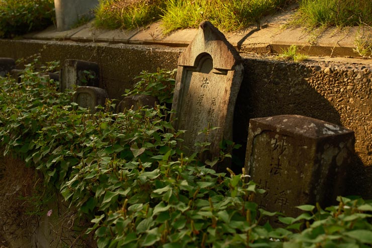 Sigma 17-40mm F1.8 DC | Art 作例：瓦のような文字入りの石