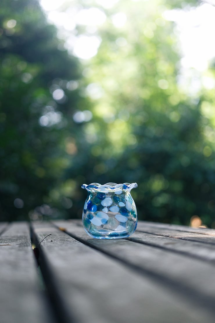 FUJIFILM X-E5の作例：金魚鉢