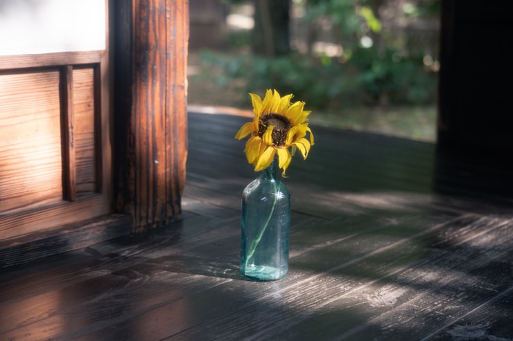 FUJIFILM X-E5の作例：古民家のひまわり