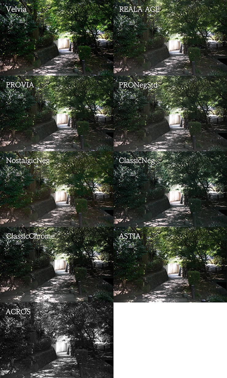 FUJIFILM X-E5の作例：フィルムシミュレーションの比較