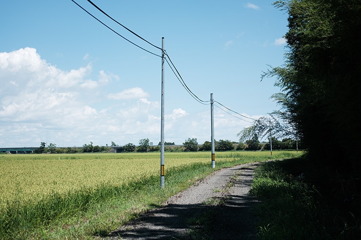 FUJIFILM X-E5の作例：田舎道