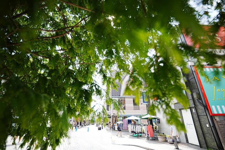 TAMRON 16-30mm F/2.8 Di III VXD G2作例：木陰から覗く街