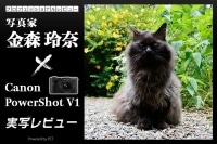 Canon PowerShot V1 実写レビュー × 写真家 金森玲奈 | スマホ撮影から一歩踏み出したいあなたへ！ イメージ