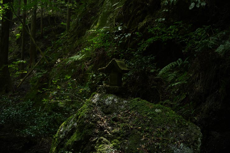 SONY FX2作例：苔の茂る森の祠