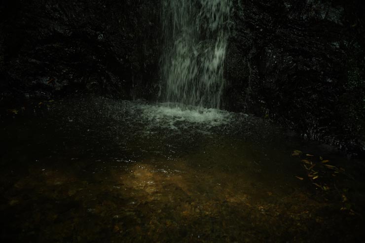 SONY FX2作例：森の中の小さな滝