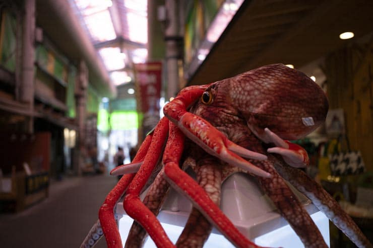 Nikon NIKKOR Z 24-70mm f/2.8 S II作例：商店街に置かれたタコとカニの人形