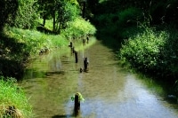 FUJIFILM フジノンレンズ XF33mmF1.4 R LM WR 実写レビュー イメージ