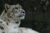 TAMRON 150-500mm F/5-6.7 Di III VC VXD FUJIFILM Xマウント 実写レビュー イメージ