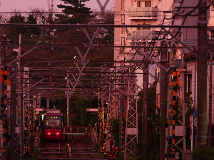 Panasonic LUMIX S 100-500mm F5-7.1 O.I.S.作例：夕焼けの都電