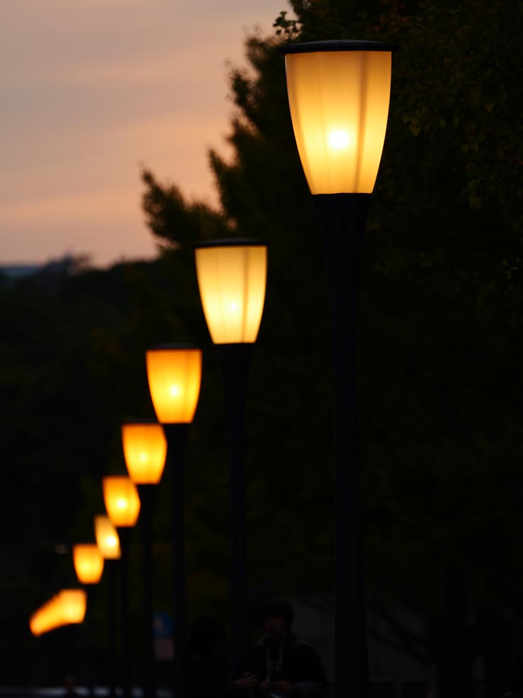 Panasonic LUMIX S 100-500mm F5-7.1 O.I.S.作例：夕暮れの電灯