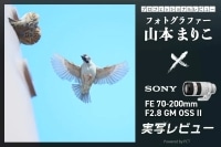 SONY FE 70-200mm F2.8 GM OSS II レビュー × 山本まりこ | とにかく軽い！レンズでフットワークも軽く イメージ