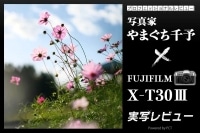 富士フイルム X-T30 III 実写レビュー× 写真家 やまぐち千予｜入門から本格撮影まで楽しめるコンパクトXシリーズの最新機 イメージ
