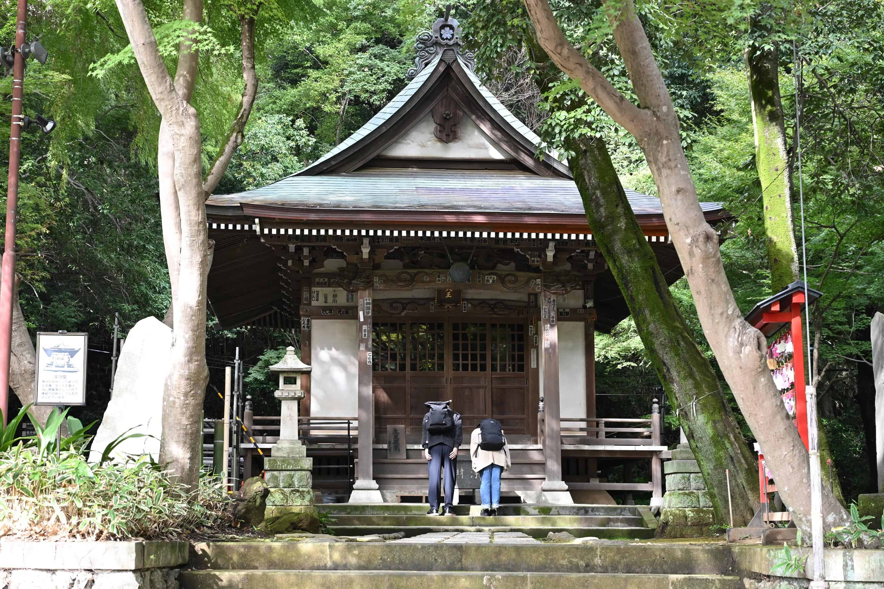 Nikon ZR × 写真家 三井公一 | 「Z」の信頼性と「RED」の情熱が融合