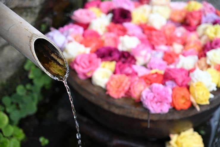 Nikon ZR作例：花で飾られた手水舎