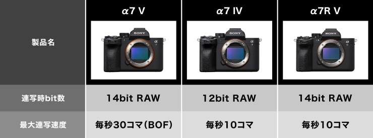 連写性能比較の画像