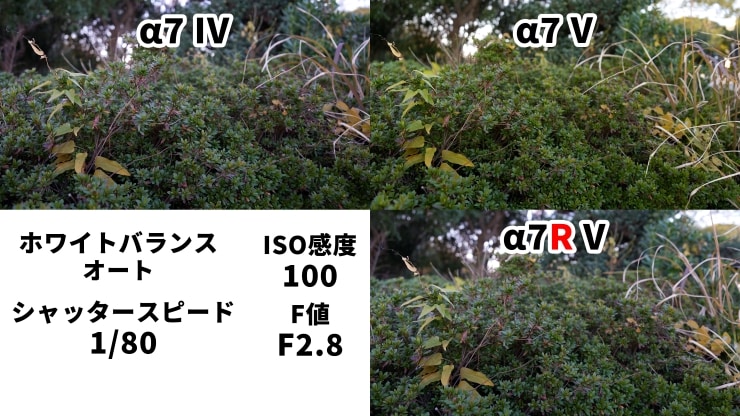 オートホワイトバランス比較作例